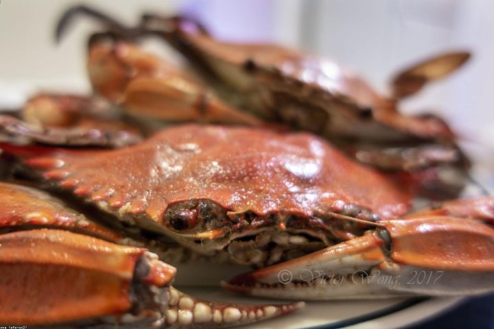 How to Handle Family Mealtimes With Different Diets and Preferences