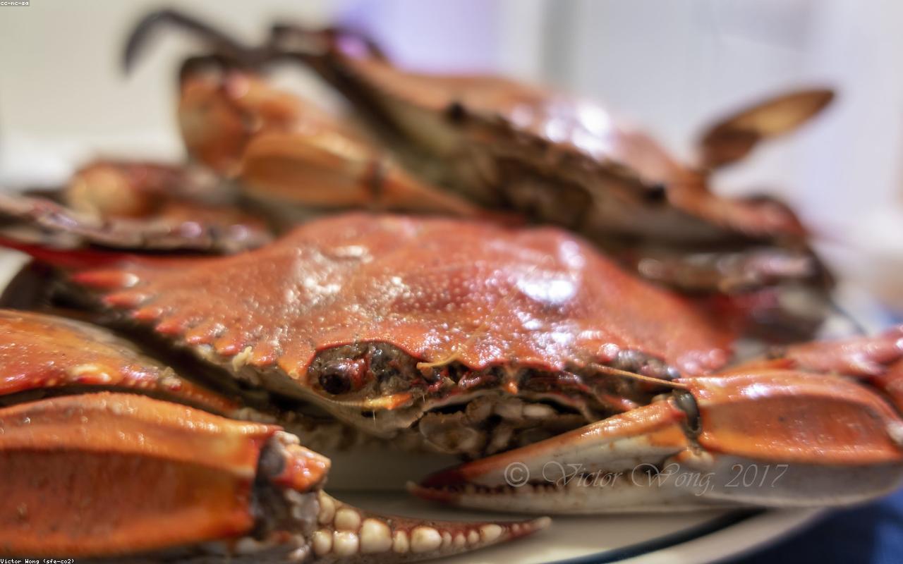 How to Handle Family Mealtimes With Different Diets and Preferences