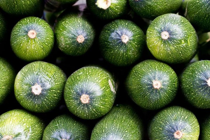 How to Plan Your Compost for the Smallest Possible Bin