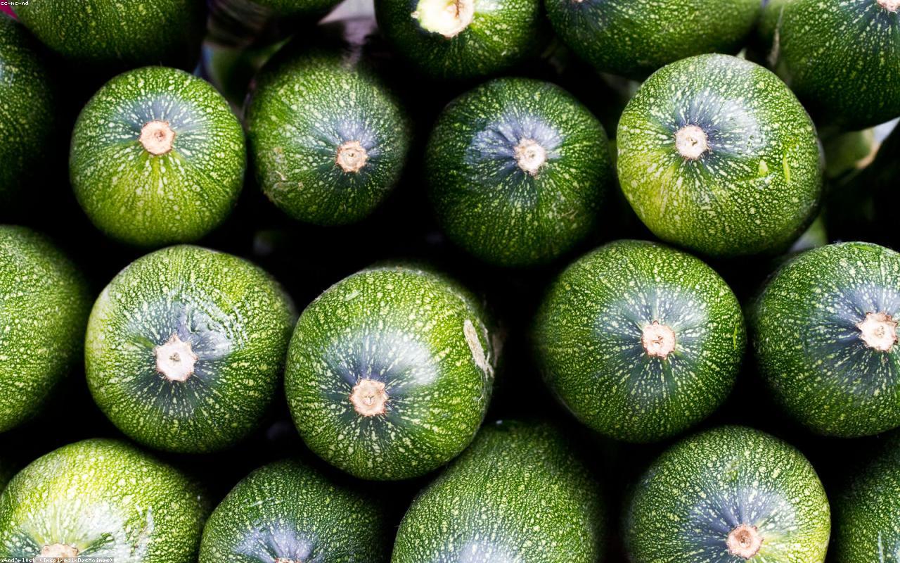 How to Plan Your Compost for the Smallest Possible Bin