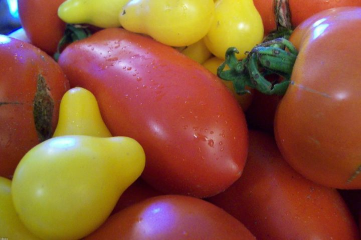Practical Nutrition for People Who Do Not Want to Be Foodies