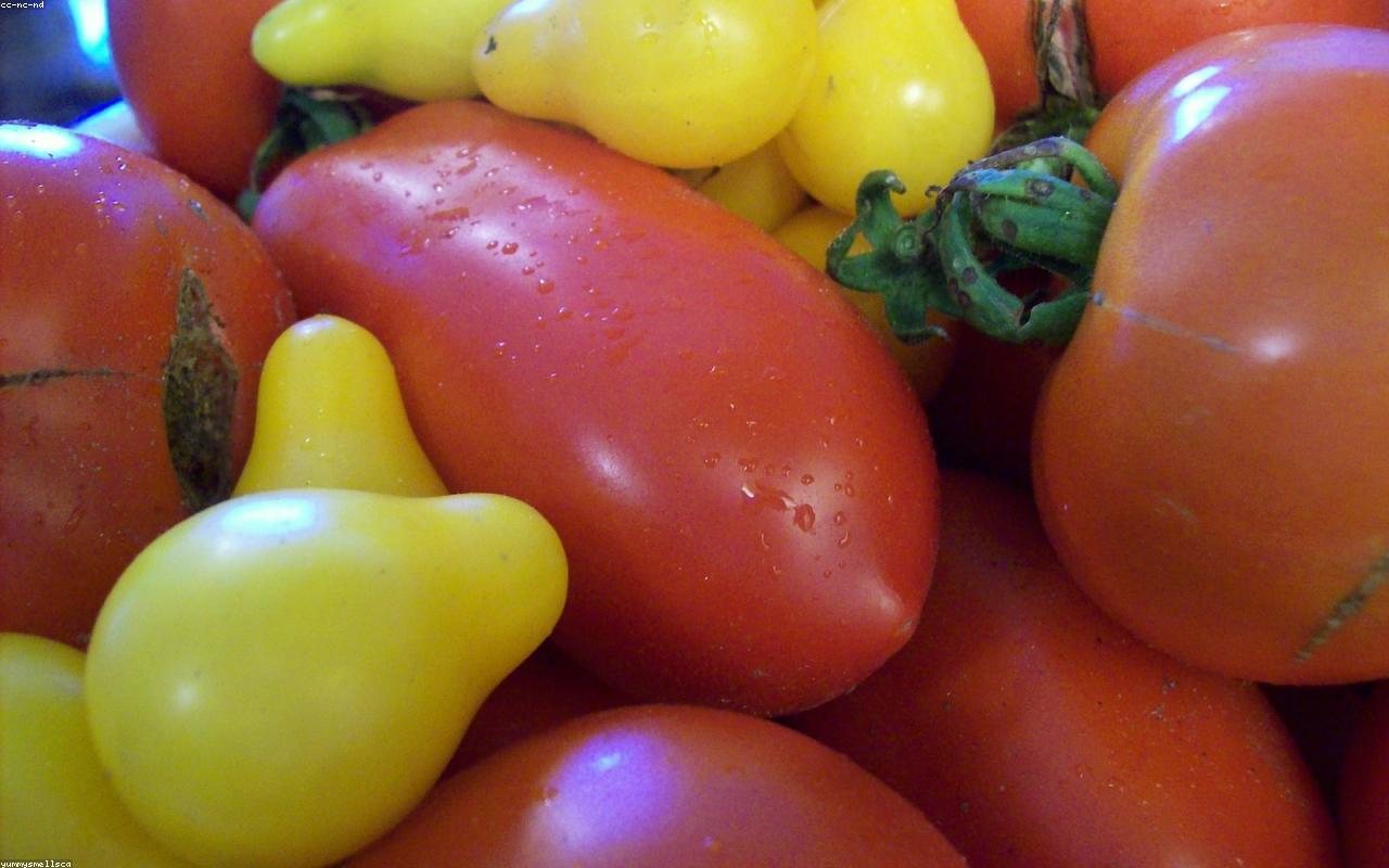 Practical Nutrition for People Who Do Not Want to Be Foodies
