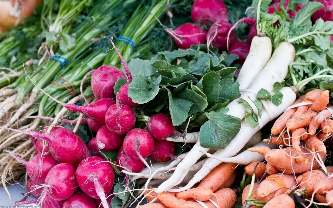 The Real Benefits of Eating Seasonal Food Beyond the Marketing
