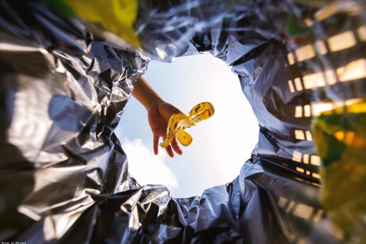 A Realistic Take on Food Waste in the Wider Food System