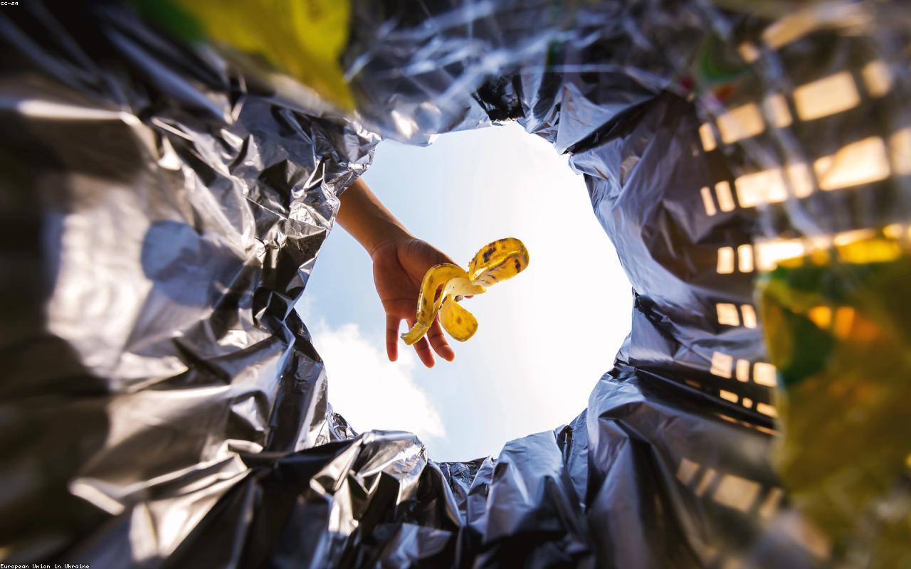 A Realistic Take on Food Waste in the Wider Food System