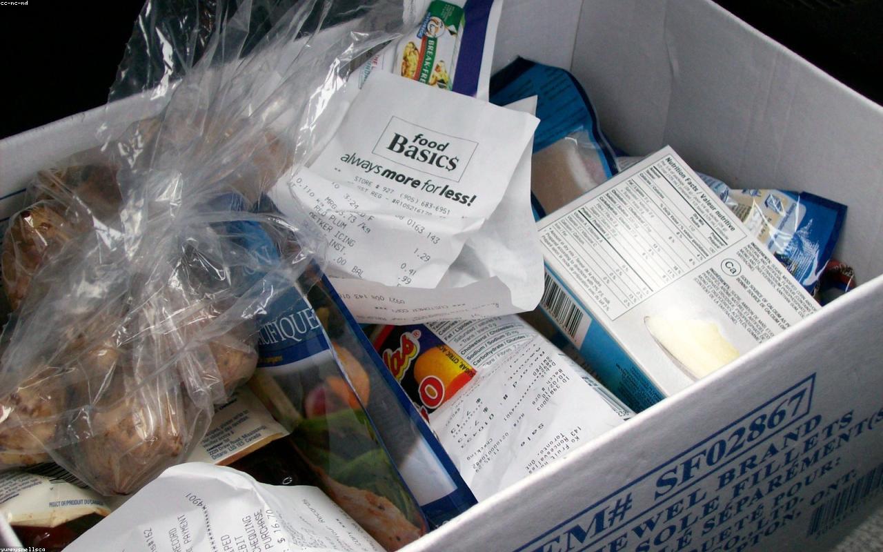 The Three Receipt Habits That Quietly Reshape Your Sustainable Shopping