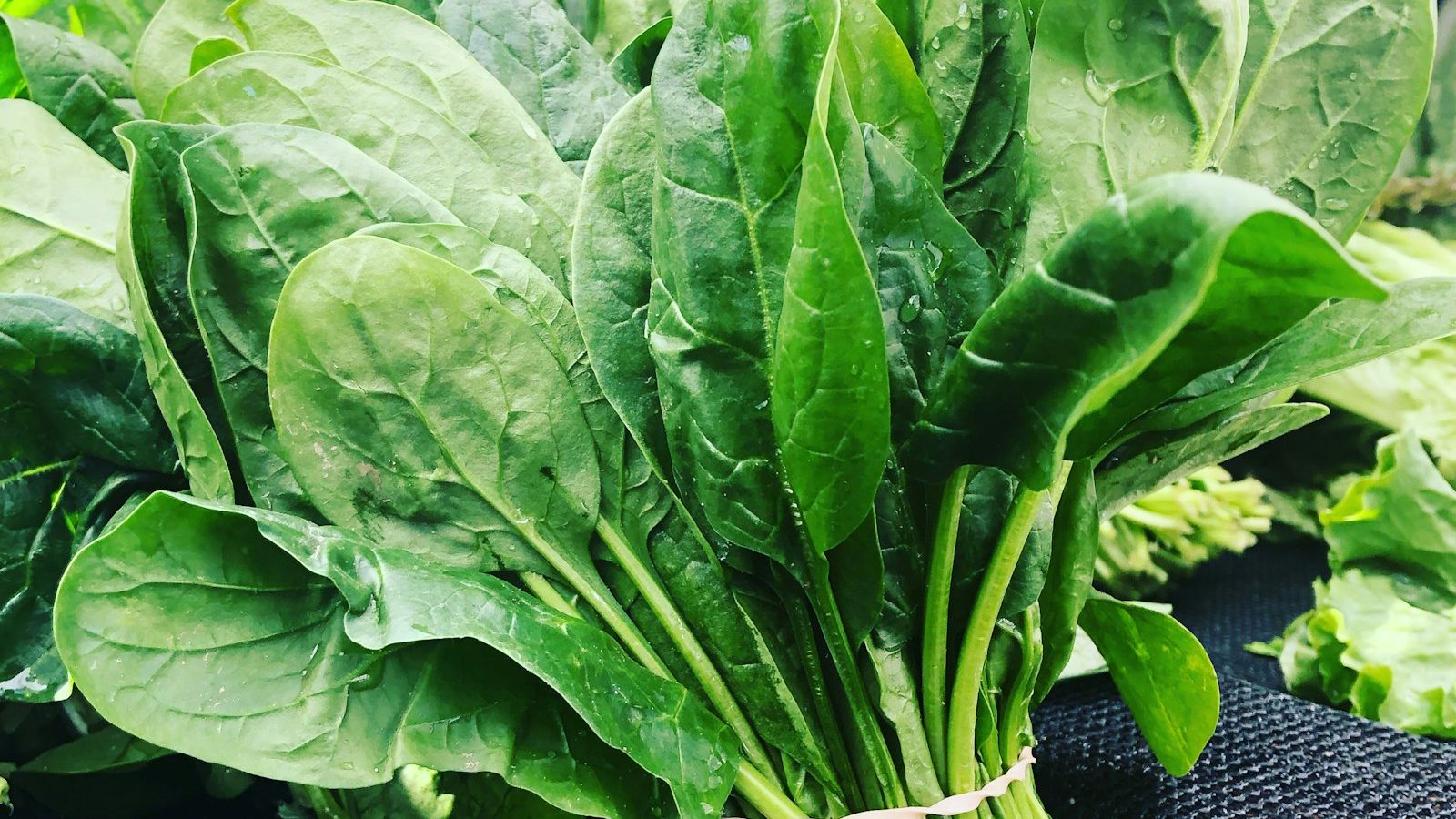 A Year of Seasonal Meal Planning, Made Simple