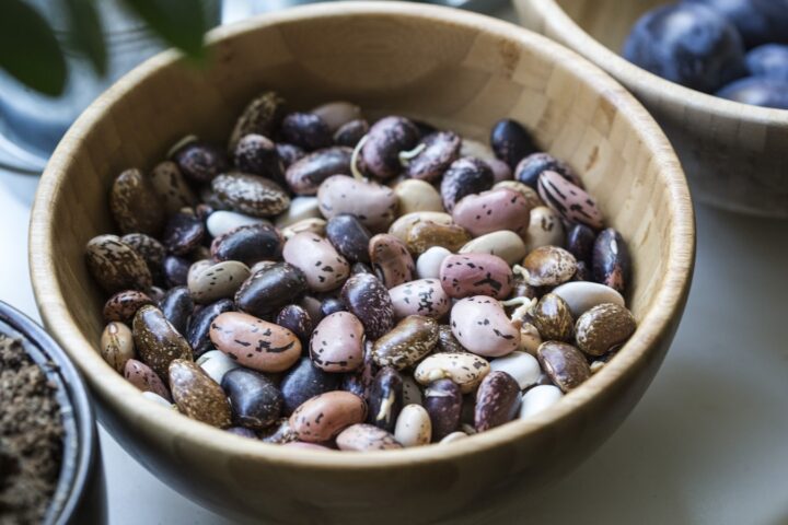 Beans vs Beef: Comparing Protein Sources by Their Footprint