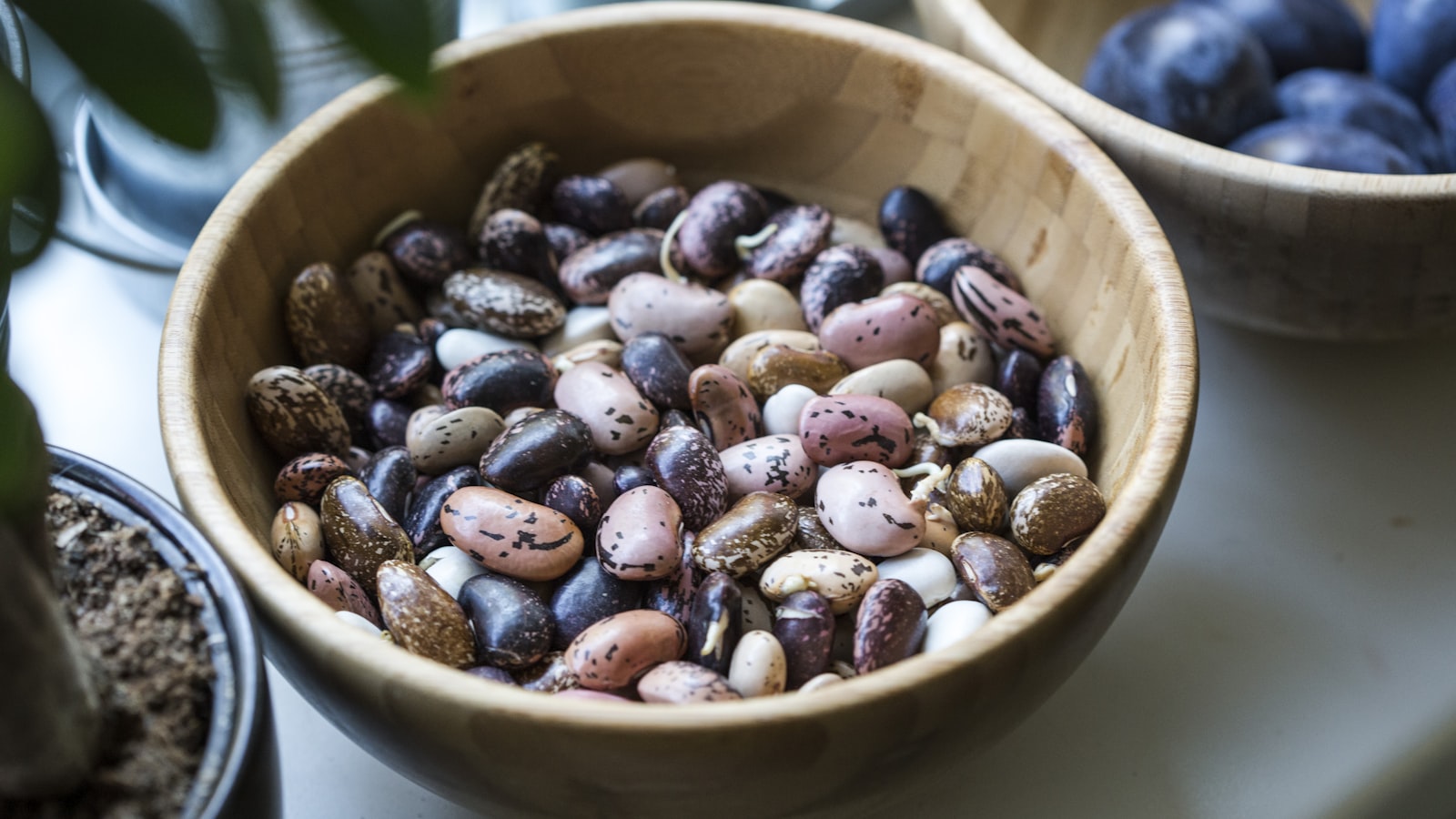 Beans vs Beef: Comparing Protein Sources by Their Footprint