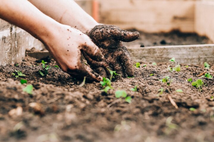 Composting, Explained: How It Works and Why It Beats the Bin