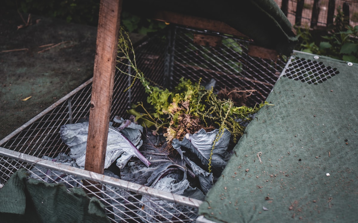 Green leaves on gray metal cage