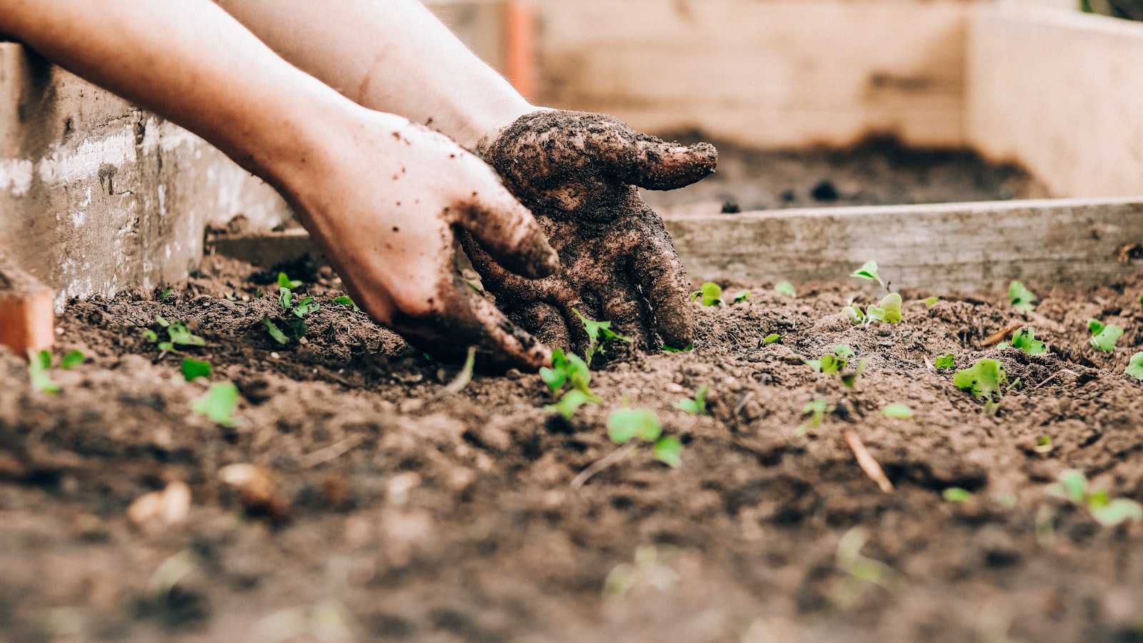 Composting, Explained: How It Works and Why It Beats the Bin