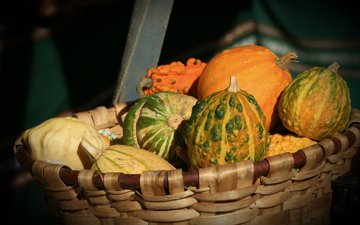 A woven basket filled with colorful autumn gourds and pumpkins