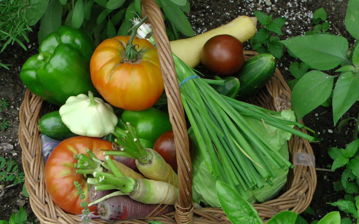 A basket filled with lots of different types of vegetables