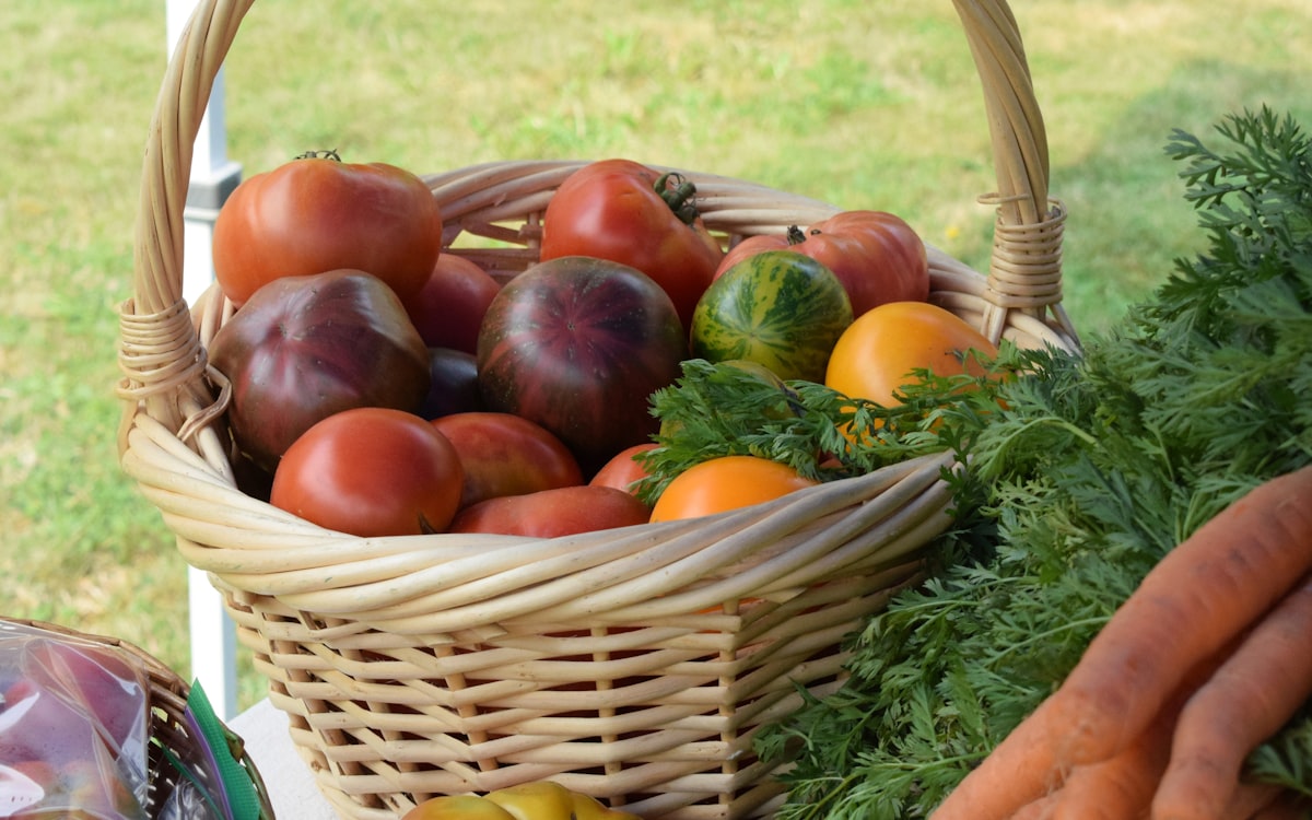 A basket filled with lots of different types of vegetables