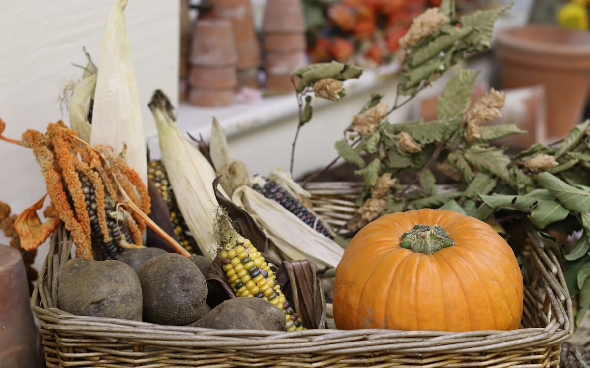 Wicker basket filled with autumn harvest vegetables
