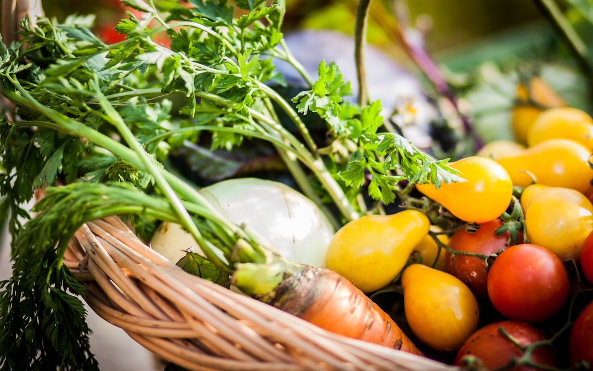 A basket filled with lots of different types of vegetables