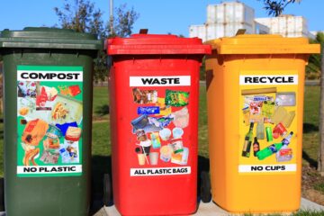 What the Recycling Symbols on Food Packaging Actually Mean