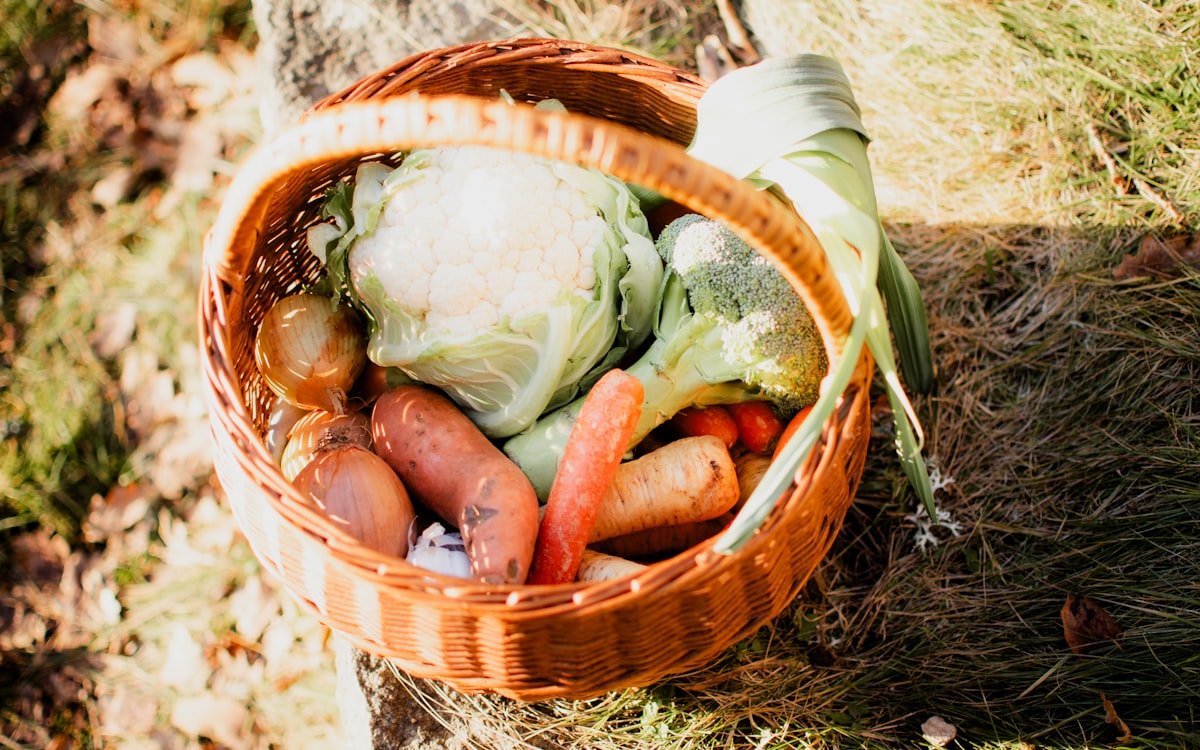 A basket filled with lots of different types of vegetables