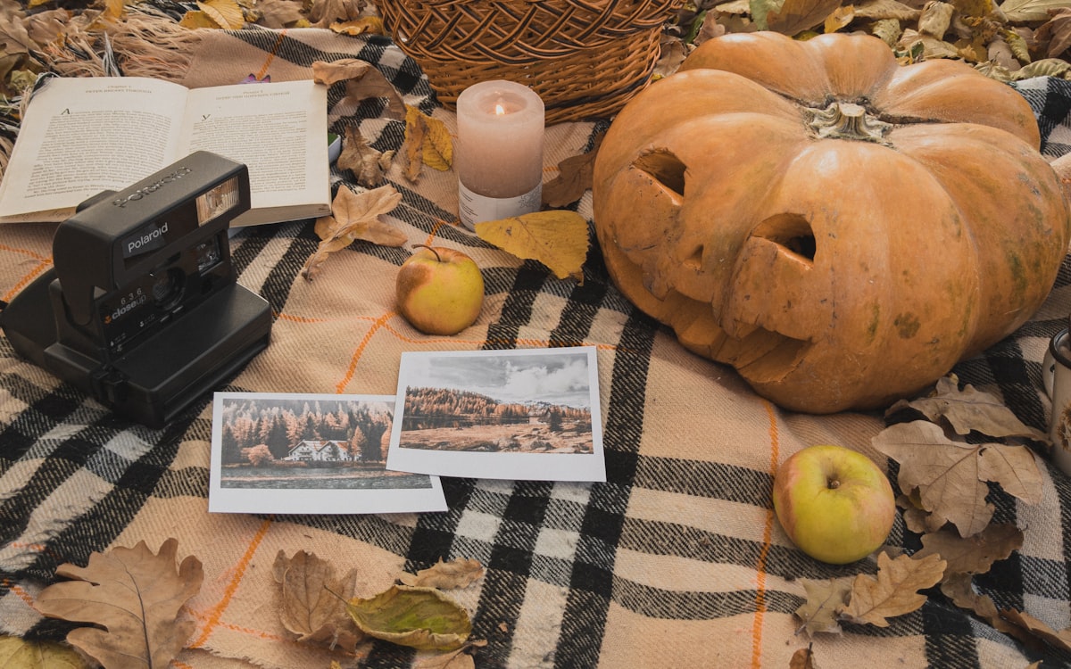 A table topped with a camera and a pumpkin
