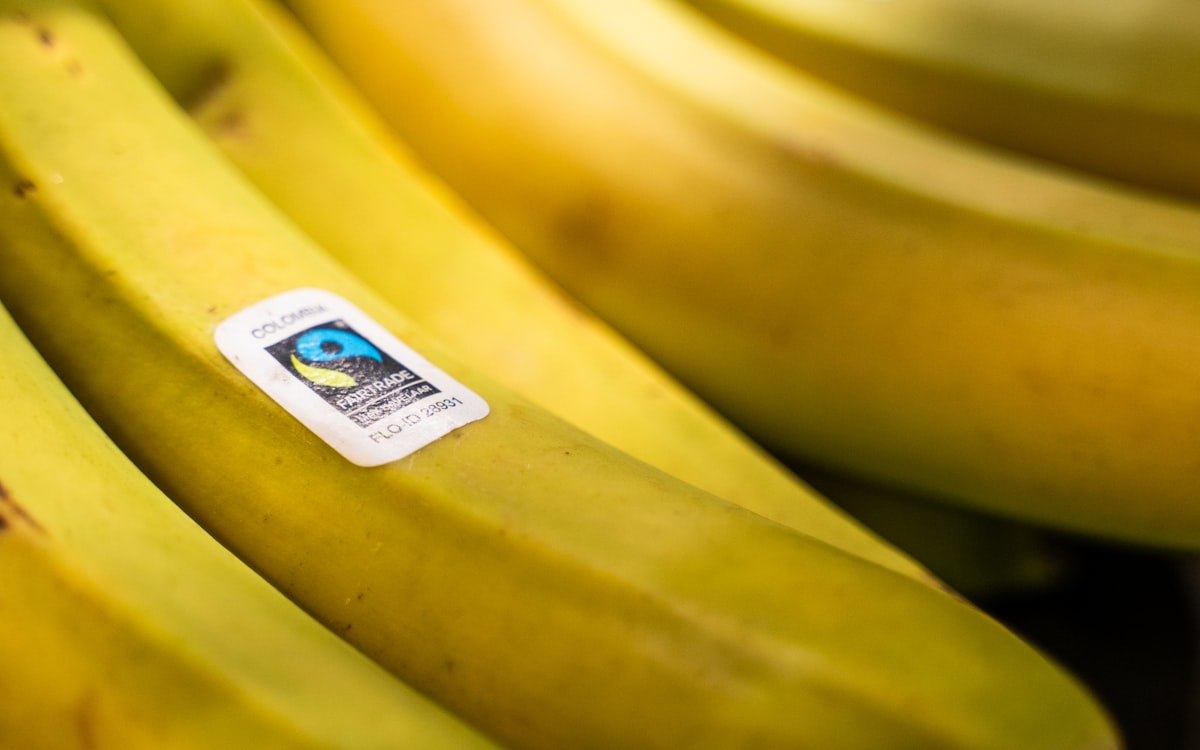 Bunch of ripe bananas with a fairtrade sticker