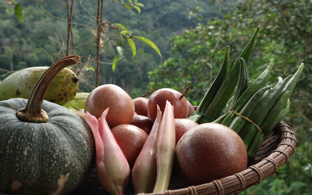 Basket of fresh vegetables and fruits with forest background